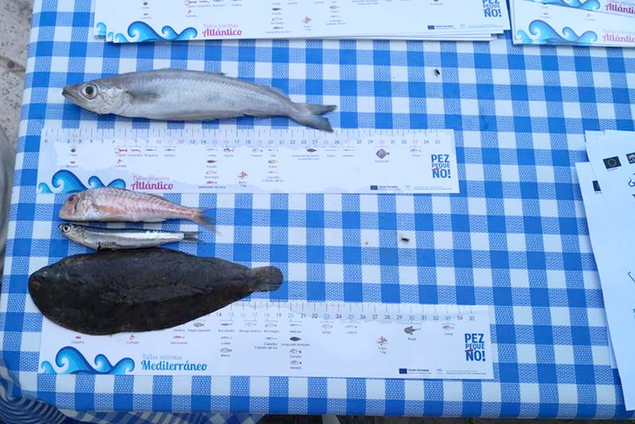 El jueves 16 finaliza la campaa sobre productos de pesca y acuicultura que se desarrolla en Salobrea.
